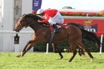 Rialya Breaks Drought in Tattersall’s Cup Rialya Breaks Drought in Tattersall’s Cup