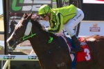 Tattersall’s Mile Confirmed for Flamboyer Tattersall’s Mile Confirmed for Flamboyer