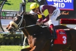 Index Linked to carry top weight in Grafton Cup