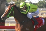 Flamboyer has to overcome wide barrier to win back to back Glasshouse Handicaps Flamboyer has to overcome wide barrier to win back to back Glasshouse Handicaps