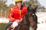 Six extra nominations for the Ipswich Cup Six extra nominations for the Ipswich Cup