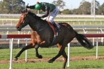 Turner Bayou on Track For Adelaide Cup After Queensland Cup Win