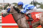 Lady Echelon looking for a change of luck in Recognition Stakes Lady Echelon looking for a change of luck in Recognition Stakes