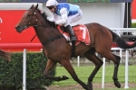 Rudy In The Queensland Derby A Dream Come True For Page