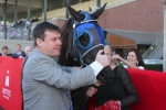 Magic Millions Veteran Phelan Ready for Cup