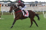 A wet track could lure The Monstar to the Glasshouse Handicap