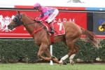 Volkhere to back up in Ipswich Cup