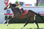 Teronado To Relish 2014 Australian Derby Trip