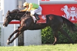 Villiers Stakes Or Brisbane Handicap For Listen Son