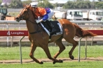 Whiskey Allround To Have Spring Trial in San Domenico Stakes Whiskey Allround To Have Spring Trial in San Domenico Stakes