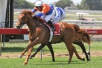 Gollan Hoping For Wet Track At Caulfield This Saturday Gollan Hoping For Wet Track At Caulfield This Saturday