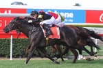 Better Than Ready Carries Big Weight To Keith Noud Handicap Victory Better Than Ready Carries Big Weight To Keith Noud Handicap Victory