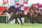 Divine Service Could Cause Magic Millions Classic Upset Divine Service Could Cause Magic Millions Classic Upset