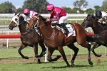 Wood To Have Strong Stradbroke Presence
