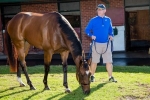Magic Millions Fillies & Mares an Option for Alter Call Magic Millions Fillies & Mares an Option for Alter Call