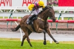 Complete Adelaide Cup 2014 Form Guide Complete Adelaide Cup 2014 Form Guide
