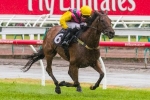 A Melbourne Cup Campaign is on the cards for Outback Joe A Melbourne Cup Campaign is on the cards for Outback Joe