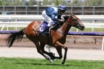 Jedastar to test Blue Diamond Stakes credentials in Fillies Preview