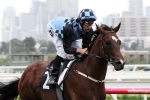 Blue Diamond Stakes ahead for Ragazzo Del Corsa Blue Diamond Stakes ahead for Ragazzo Del Corsa