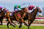 Anlon Chasing Third Straight Win In The John Dillion Stakes Anlon Chasing Third Straight Win In The John Dillion Stakes
