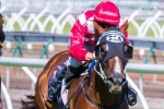 Miss Promiscuity set for Typhoon Tracy Stakes Miss Promiscuity set for Typhoon Tracy Stakes