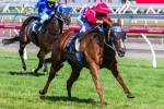 Miss Promiscuity To Debut For Cummings In Creswick Series Final Miss Promiscuity To Debut For Cummings In Creswick Series Final