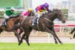 Baster’s Loss is Avdulla’s Adelaide Cup Gain Baster’s Loss is Avdulla’s Adelaide Cup Gain