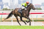 Tuscan Fire To Australian Hurdle After Warrnambool Cup