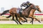 Rawiller Confident Zabisco Can Perform For New Stable Rawiller Confident Zabisco Can Perform For New Stable