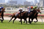 Blue Diamond Stakes Trial For McEvoy Duo In Inglis Premier Blue Diamond Stakes Trial For McEvoy Duo In Inglis Premier