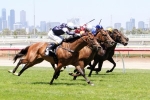 Pattern Australian Guineas Bound Following Impressive Win Pattern Australian Guineas Bound Following Impressive Win