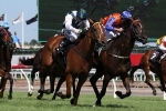 Red Excitement Scratched From Carlyon Cup