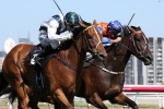 C.F. Orr Stakes on the agenda for Red Excitement C.F. Orr Stakes on the agenda for Red Excitement