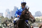 New Lindsay Park partnership has 2 nominations for Aurie’s Star New Lindsay Park partnership has 2 nominations for Aurie’s Star