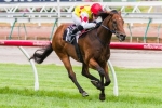 Decircles Included In Chester Manifold Stakes Nominations Decircles Included In Chester Manifold Stakes Nominations
