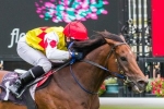 Standish Handicap Winner Runs Circles Around Favourites Standish Handicap Winner Runs Circles Around Favourites