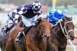 Blinkers to add speed to He’s Your Man