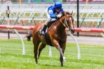 Hawkes Optimistic About San Domenico Stakes Chances