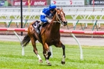 Nostradamus Hopeful of Blue Diamond Success