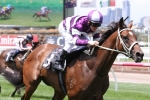 All Cerise chasing 5th win on the trot in Aspiration Quality All Cerise chasing 5th win on the trot in Aspiration Quality