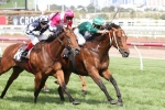 Headwater back to best with Kensington Stakes win Headwater back to best with Kensington Stakes win