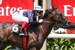 Supido to warm up for Spring G1s in McEwen Stakes