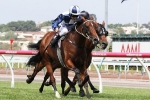 Injured Averau Retires from Racing Injured Averau Retires from Racing