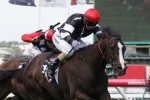 CS Hayes Stakes Rather Than Orr For Lucky Liberty CS Hayes Stakes Rather Than Orr For Lucky Liberty