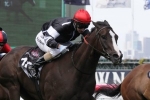Goodwood rider for Lucky Liberty on hold Goodwood rider for Lucky Liberty on hold