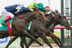 Team Williams start to roll out Spring Carnival hopes at Moonee Valley Team Williams start to roll out Spring Carnival hopes at Moonee Valley