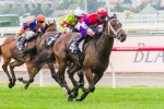 Hucklebuck To Return In Fred Best Classic Hucklebuck To Return In Fred Best Classic