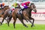 Hucklebuck Out Of Queensland Guineas