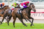 Hucklebuck Out Of Queensland Guineas Hucklebuck Out Of Queensland Guineas