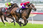 Hucklebuck on track for Australian Guineas with C S Hayes Stakes win
